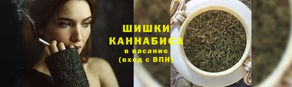 меф Арсеньев