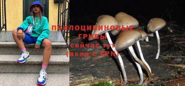 меф Арсеньев