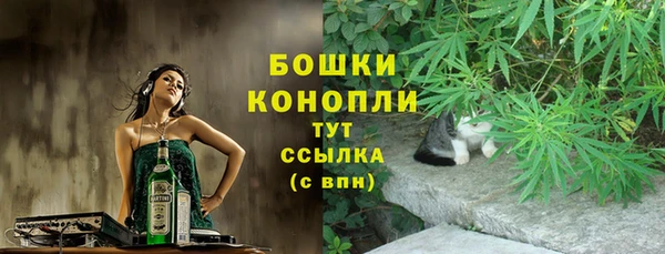 меф Арсеньев