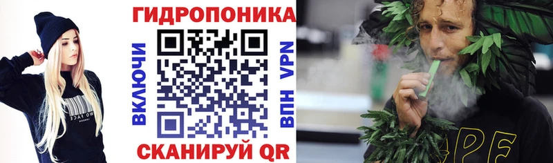 Шишки марихуана THC 21%  как найти наркотики  гидра сайт  Нолинск 